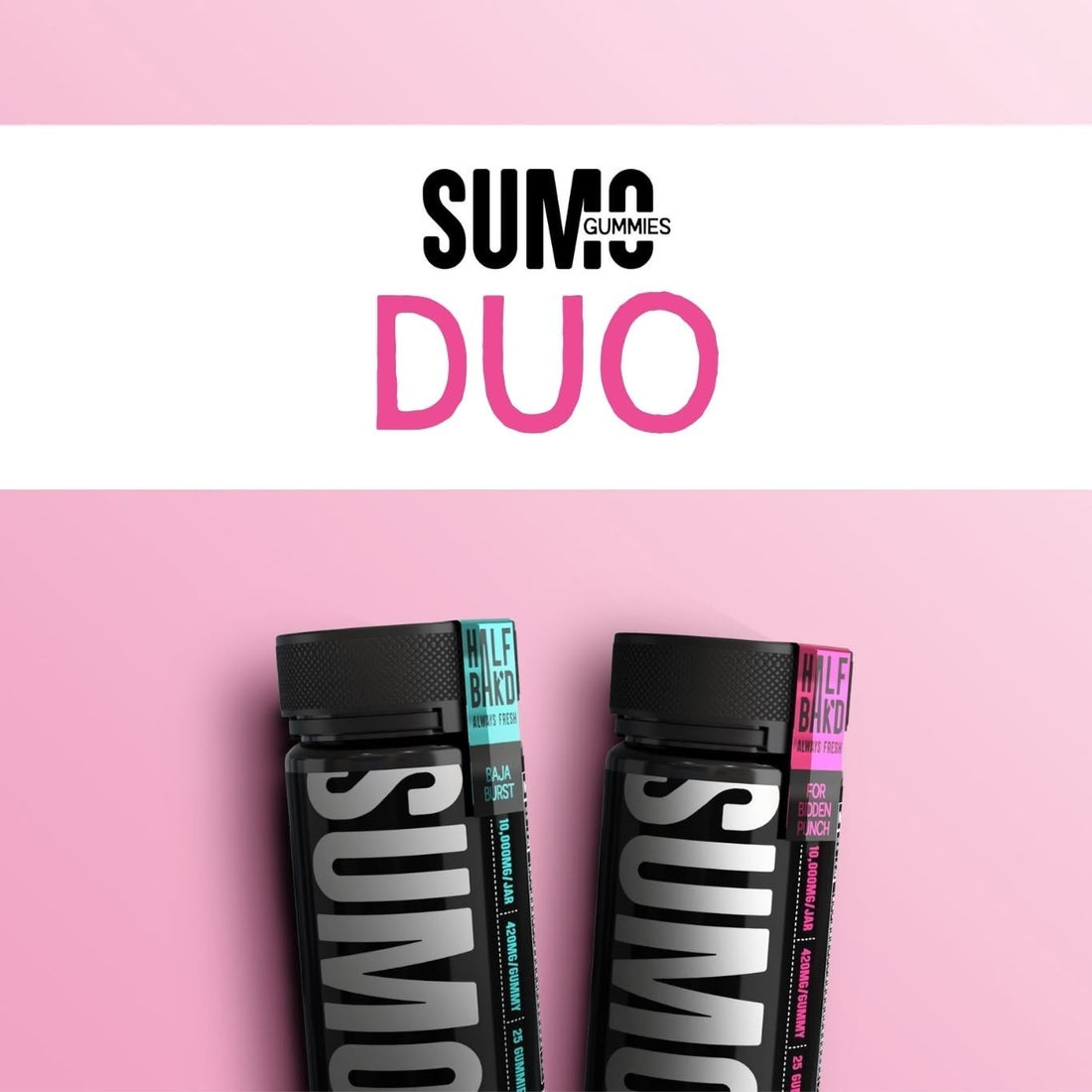SUMO Duo