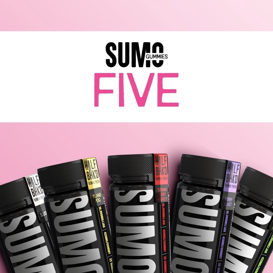 SUMO Five